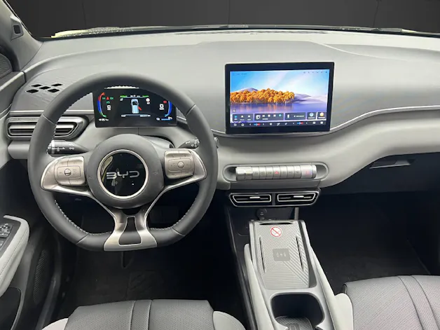 BYD Dolphin Surf Comfort