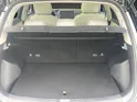 BYD Atto 2 DM-i Boost ** 2,9% Leasing-Aktion **