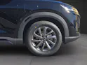 BYD Atto 2 DM-i Boost  ** 2,9% Leasing-Aktion **