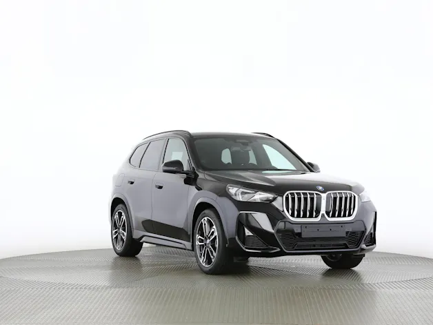 BMW X1 30e xDrive paddles
