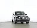 BMW X1 30e xDrive paddles