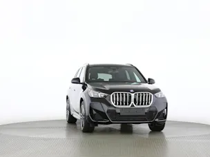 BMW X1 30e xDrive paddles
