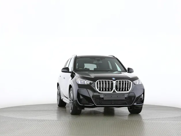 BMW X1 30e xDrive paddles