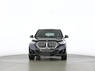 BMW X1 30e xDrive paddles