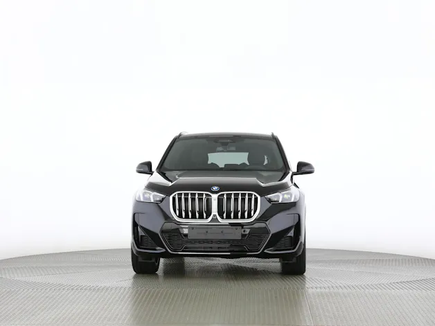 BMW X1 30e xDrive paddles