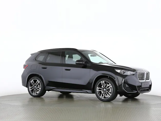BMW X1 30e xDrive paddles