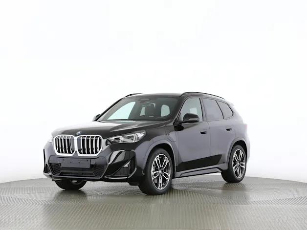 BMW X1 30e xDrive paddles