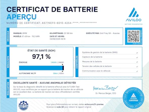 immagine del veicolo BMW X1 30e xDrive paddles