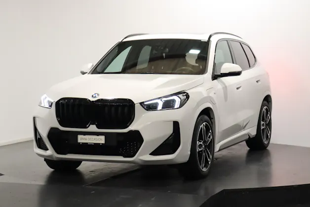BMW X1 30e xDrive paddles