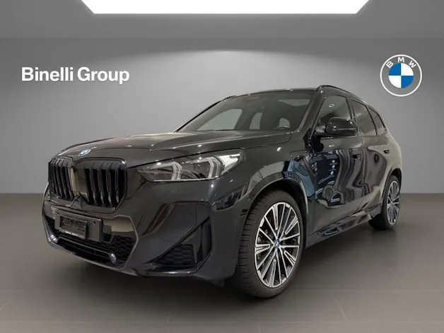 BMW X1 30e xDrive paddles