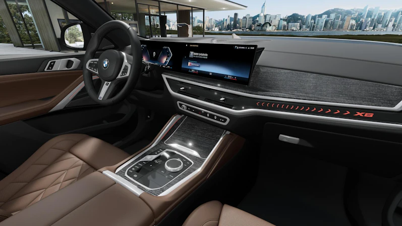 Fahrzeugbild BMW X6