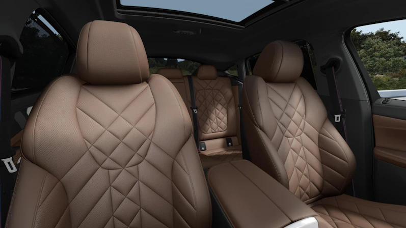 Fahrzeugbild BMW X6