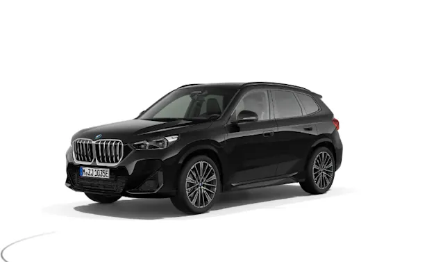 BMW X1 30e xDrive paddles