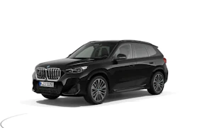 Fahrzeugbild BMW X1 30e xDrive paddles
