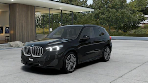 Fahrzeugbild BMW X1 30e xDrive paddles