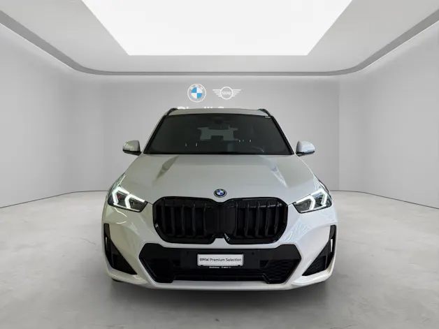 BMW X1 30e xDrive paddles