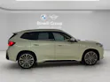 BMW X1 30e xDrive paddles