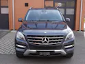 Mercedes-Benz ML 250 BlueTEC Edition 4Matic 7G-Tronic