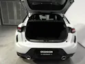 DS Automobiles AUTOMOBILES DS3 Crossback 1.2 PureTech 155 Performan