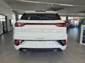JAC JS6 1.5 PHEV