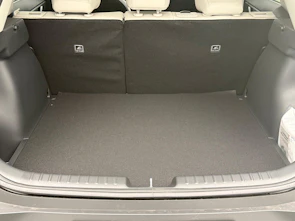Fahrzeugbild KIA Niro 1.6 GDi Hybrid Style