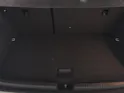 VW Polo 2.0 TSI GTI DSG