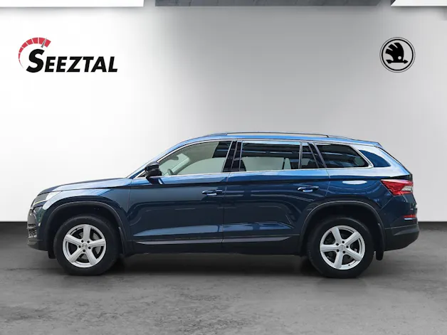 Škoda Skoda Kodiaq Ambition TDI 4x4