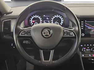 SKODA Skoda Kodiaq Ambition TDI 4x4