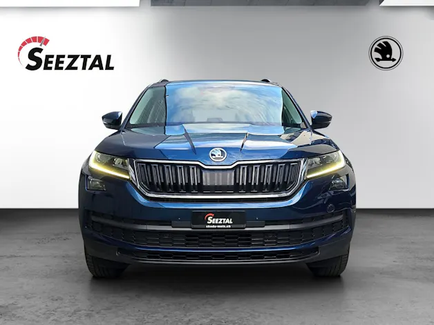 Škoda Skoda Kodiaq Ambition TDI 4x4