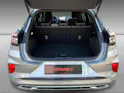 Ford Puma 1.0 EcoB Hybrid 155 ST-Line Vignale