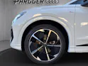 Audi Q4 e-tron 45 Edition Swiss Ski quattro