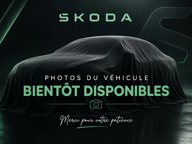 Škoda Kamiq 1.5 TSI Dynamic DSG