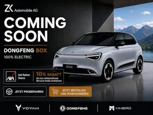 Dongfeng Box 42 kWh Silver / 360° Kamera / Car Play / Ecotex Leder / 12 Zoll Display / Sitzheizung/Kühlung / Massagefunktion /