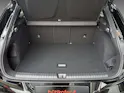 Cupra Terramar 1.5 eHybrid Business Edition DSG
