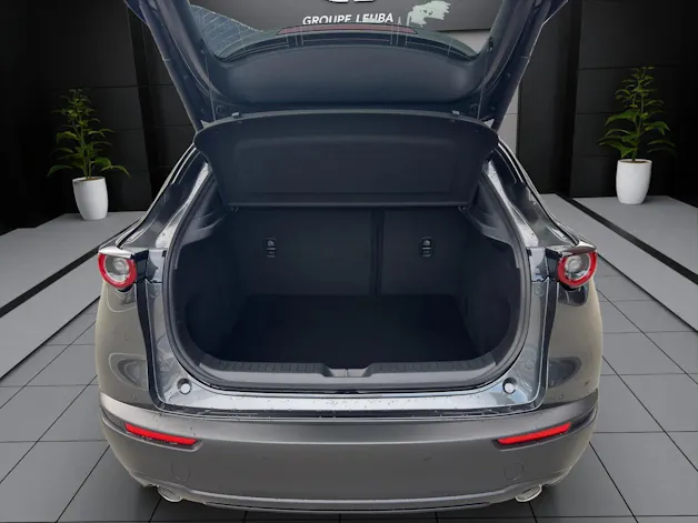 Mazda CX-30 SKYACTIV-X 186 M Hybrid Homura AWD AT