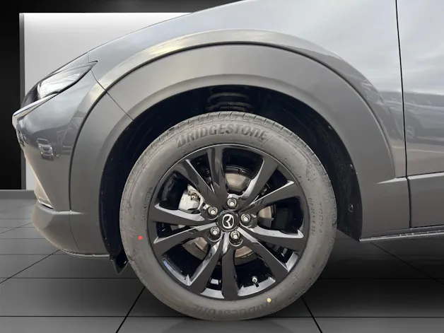 Mazda CX-30 SKYACTIV-X 186 M Hybrid Homura AWD AT