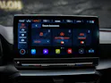 Cupra Formentor 2.5TSI VZ5 4Drive DSG *Panorama*360° Kamera*El. Sitze*