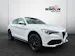 Alfa Romeo Stelvio 2.0 Q4 280 Executive