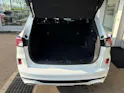Ford Kuga 2.5 FHEV ST-Line X 4WD