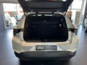Renault Scénic E-Tech Long Range Esprit Alpine