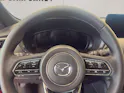 Mazda CX-60 3.3 D 254 PS Homura Plus AWD