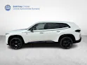 BMW XM 50e Plug-in Hybrid