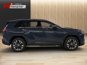 Toyota RAV4 2.5 Plug-In-Hybrid Trend