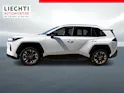 Toyota RAV4 2.5 Plug-In-Hybrid Trend