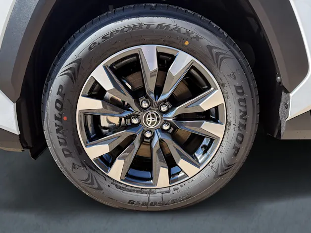 Toyota RAV4 2.5 Plug-In-Hybrid Trend