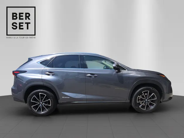 Lexus NX 300h Comfort