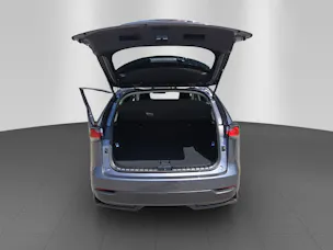 Lexus NX 300h Comfort