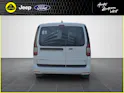 Ford Transit Grand Connect Kaw. 2.0 EcoBlue 122PS Limited 4x4