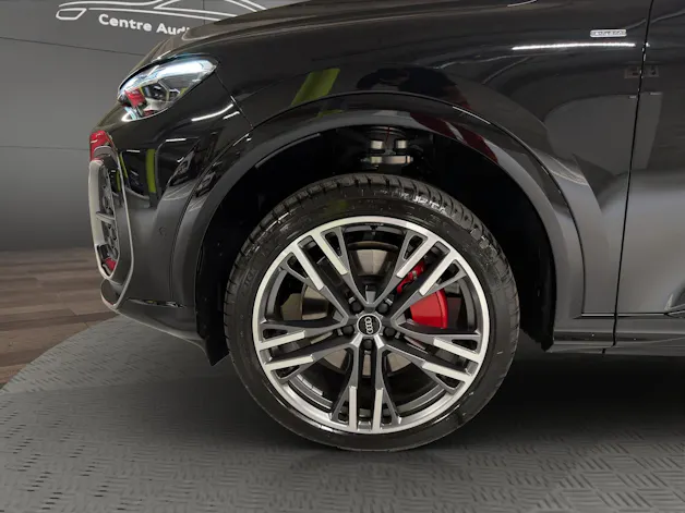 Audi Q5 e-hybrid quattro 220 kW S-tronic