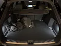 Audi Q5 e-hybrid quattro 220 kW S-tronic